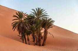 Obraz na płótnie außenaufnahme piasek sahara