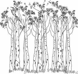 Obraz na płótnie drzewa wzór warzywo