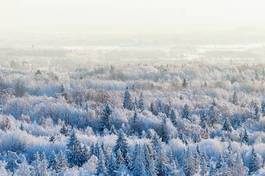 Plakat wieś śnieg bezdroża natura