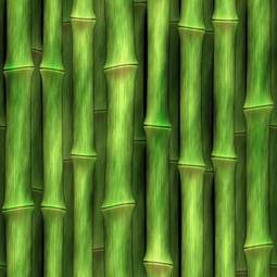 Obraz na płótnie bambus dziki las