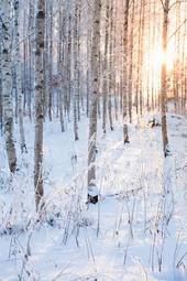 Naklejka krajobraz słońce pejzaż śnieg