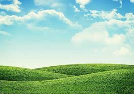 Obraz na płótnie pole wzgórze natura pejzaż niebo