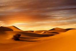 Naklejka pustynia wzgórze arabian