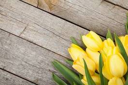 Naklejka miłość tulipan natura ogród
