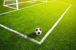 Obraz na płótnie trawa łąka wzór sport piłka