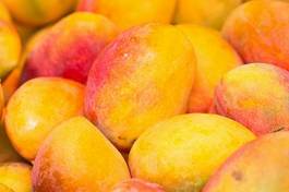 Obraz na płótnie owoc egzotyczny jeżyna żółty mango