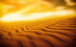 Obraz na płótnie pejzaż pustynia widok