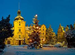 Fotoroleta zamek śnieg noc niemiecki oświetlenie