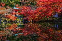 Fotoroleta most jesień natura architektura japonia
