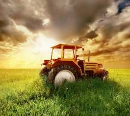 Fotoroleta słońce traktor jedzenie lato zdrowie