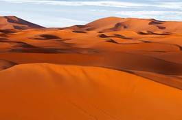 Fototapeta afryka wydma góra pustynia krzew