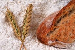 Naklejka mąka żyto pszenica chleb alergiczny