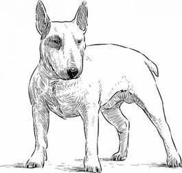 Naklejka ssak zwierzę pies rysunek
