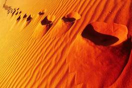 Fotoroleta natura pejzaż widok pustynia afryka