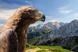 Fotoroleta krajobraz natura portret alpy