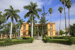 Fotoroleta palma wiejski architektura