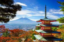 Fotoroleta fuji wiśnia japoński niebo tokio