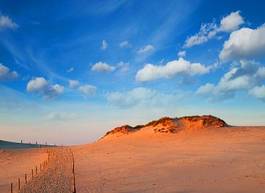 Fototapeta park krajobraz plaża pejzaż niebo