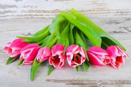 Obraz na płótnie kwiat miłość tulipan dzieci słońce