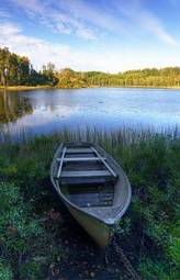 Obraz na płótnie szwecja las piękny