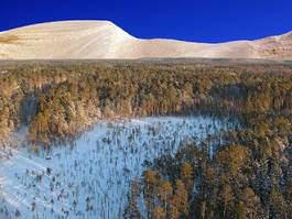 Fotoroleta śnieg drzewa lód widok góra