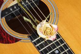 Naklejka kwiat natura sztuka kwitnący muzyka