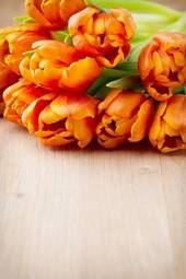 Fototapeta kwitnący tulipan wzór