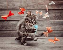 Naklejka kociak bawi się origami
