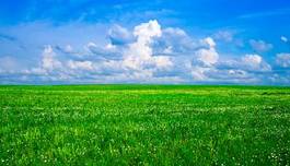 Naklejka wiejski trawa niebo