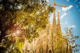 Fotoroleta niebo barcelona katedra drzewa