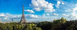 Naklejka drzewa miejski panoramiczny europa francja