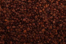 Naklejka kawa arabica ziarno