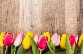 Naklejka miłość kwiat serce natura tulipan