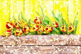 Fotoroleta dzieci tulipan natura wschód ogród