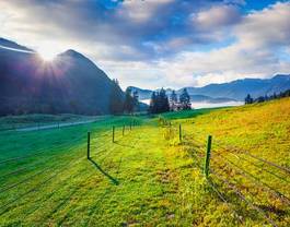 Obraz na płótnie alpy trawa świeży roślina dolina
