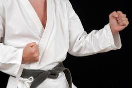 Naklejka sztuki walki warta sport duchowy judo