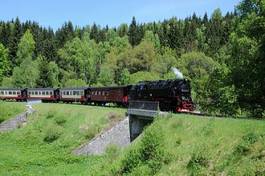 Obraz na płótnie lokomotywa lokomotywa parowa drzewa most jesień