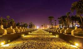 Fotoroleta świątynia lew świat egipt