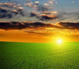 Fototapeta słońce wiejski trawa pastwisko łąka