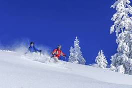 Obraz na płótnie alpy stok sportowy sporty zimowe