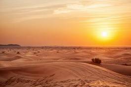 Plakat natura safari pustynia wzór wydma