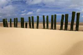Fototapeta plaża trawa północ wydma krajobraz