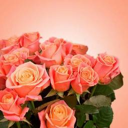 Obraz na płótnie natura kwiat świeży rosa miłość