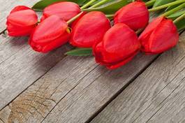Obraz na płótnie kwiat miłość tulipan piękny