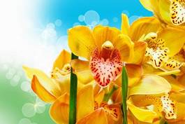 Plakat ogród tropikalny piękny roślina kwiat