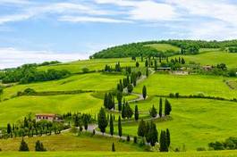 Fotoroleta wiejski włoski trawa drzewa