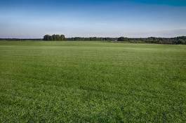 Obraz na płótnie rolnictwo pole łąka