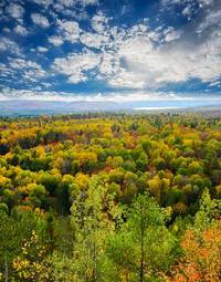 Fotoroleta perspektywa pejzaż jesień piękny