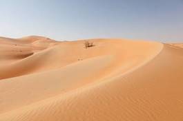 Fotoroleta arabian zatoka oaza