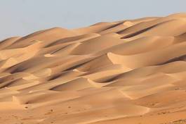 Plakat wydma natura arabian spokojny